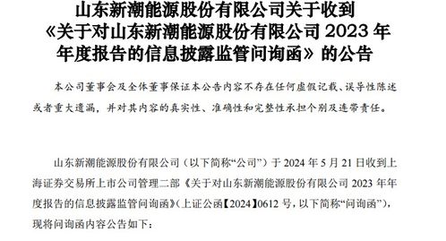 海量财经深度解读 上交所5000字犀利问询直指新潮能源，财务迷雾待解